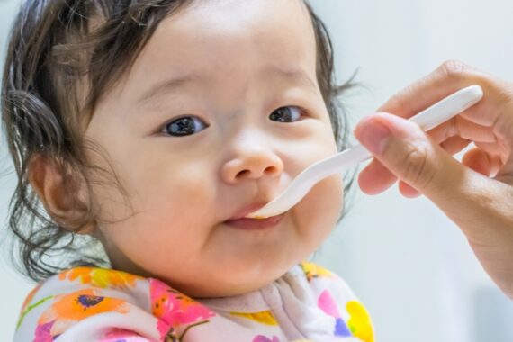 何を食べさせるのか？一番大切な時期かも知れませんね。